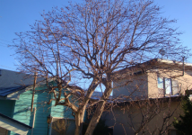 �C���[�W04