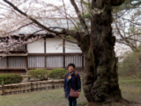 �C���[�W04