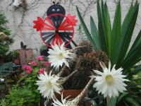 �C���[�W04