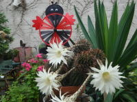 �C���[�W04