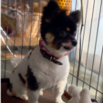 �C���[�W02