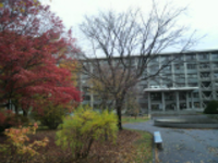 �C���[�W04